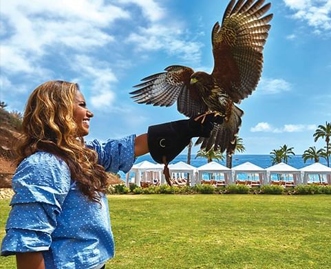 A lady holding a giant falcon in the hotel garden at Hotel Atwater