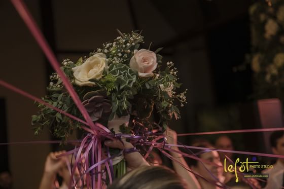 Flores