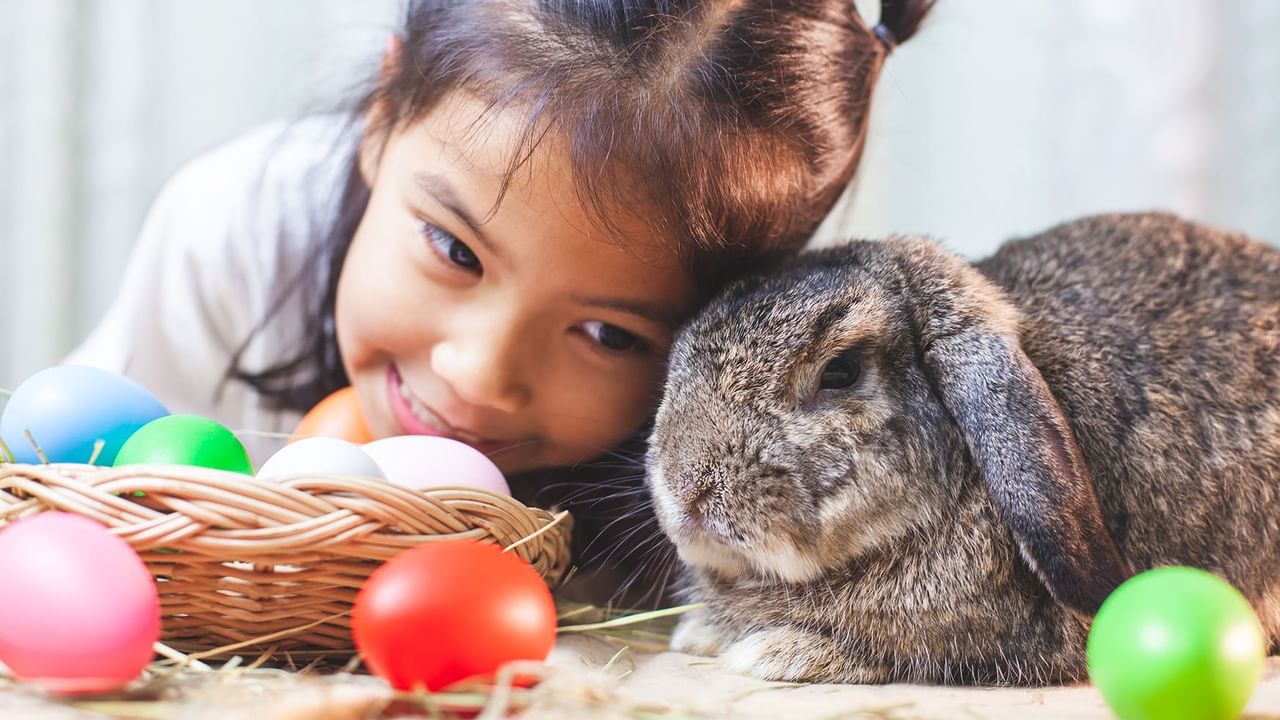 kid with bunny and easter eggs