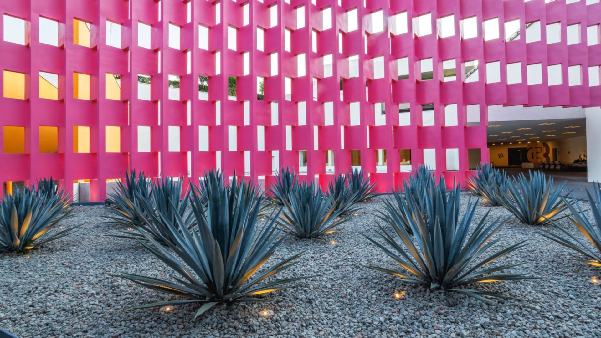 Vibrant pink geometric wall behind a garden of blue agave plants and gravel at Camino Real Polanco Mexico