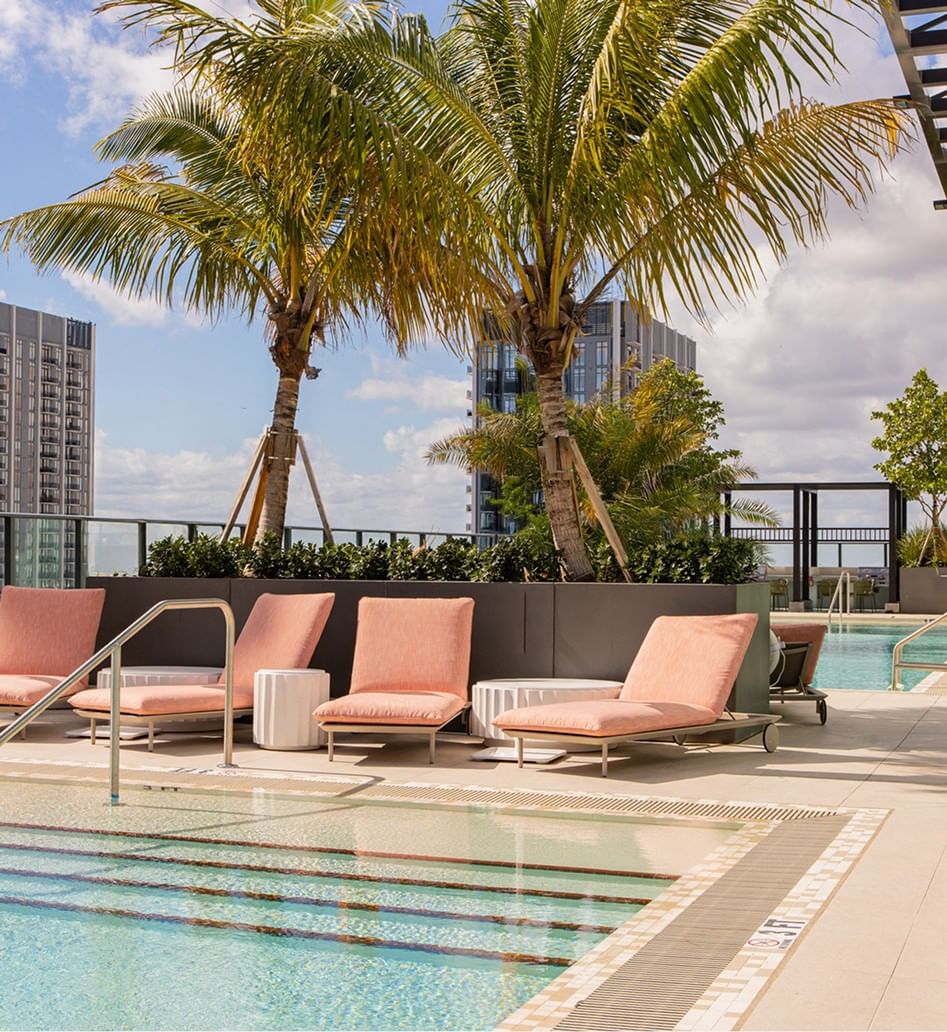 Luxurious rooftop pool, Miami, with lounge chairs and tropical palm trees at The Crosby Miami Worldcenter