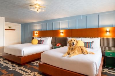 Hotel room with two beds at Driftaway Hotel and Pool