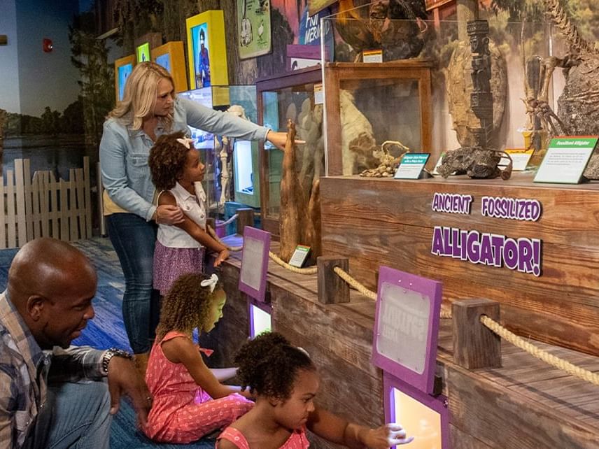 Counter at Ripley’s Believe It or Not Orlando near Lake Buena Vista Resort Village & Spa