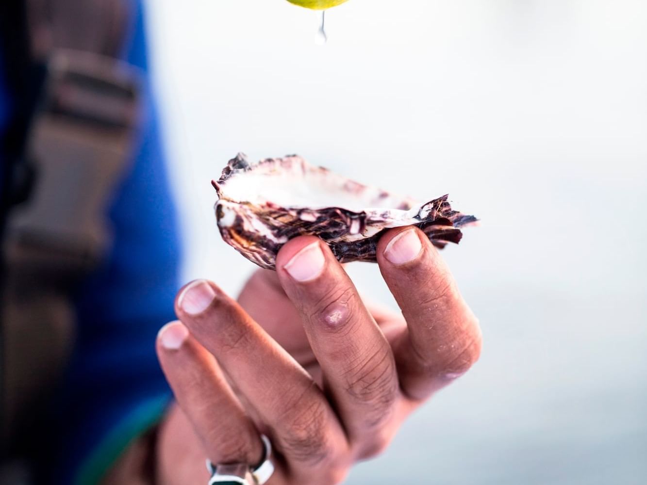 Close-up on an oyster holding on a hand near the Freycinet Lodge