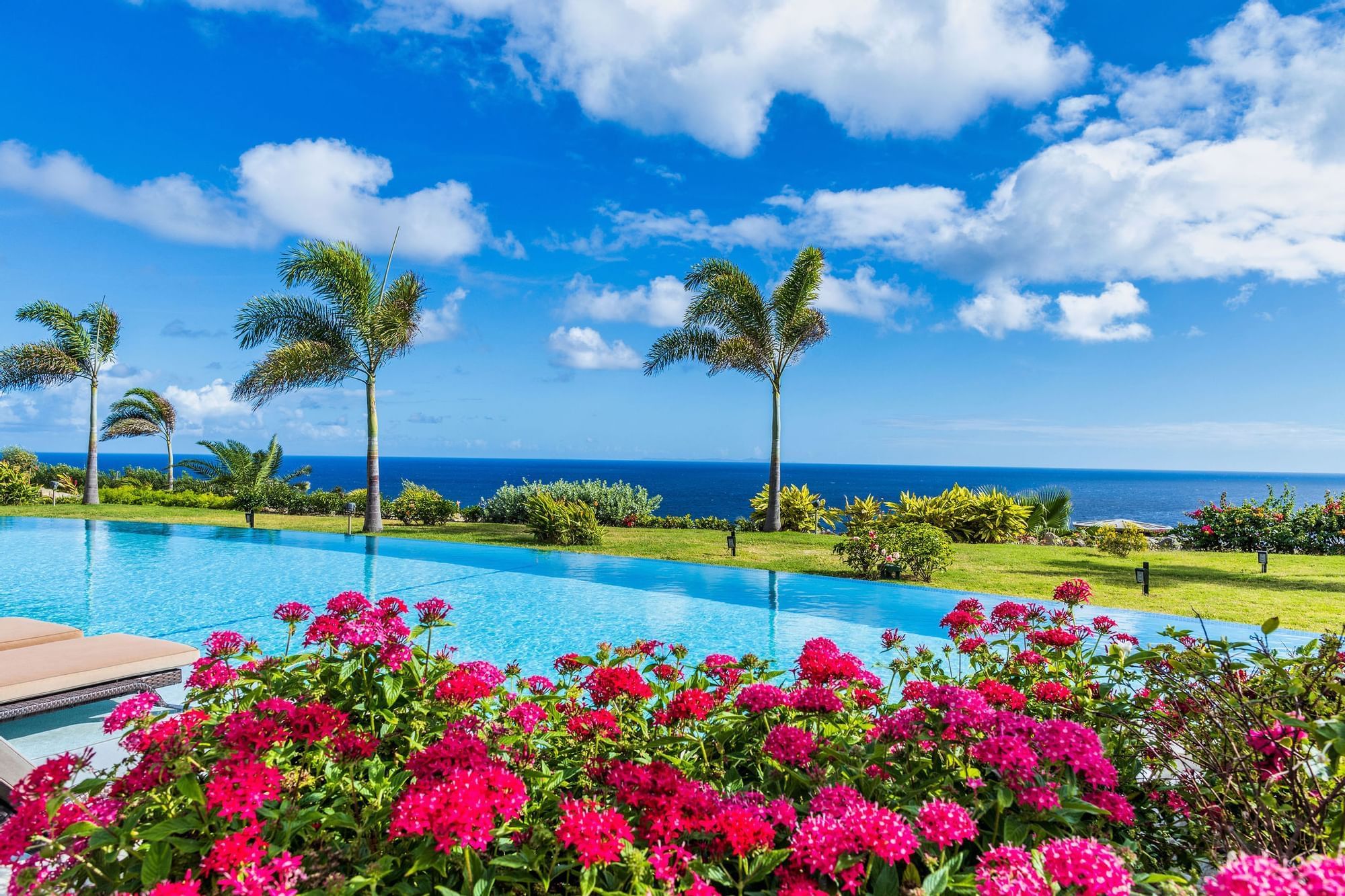 Flower garden