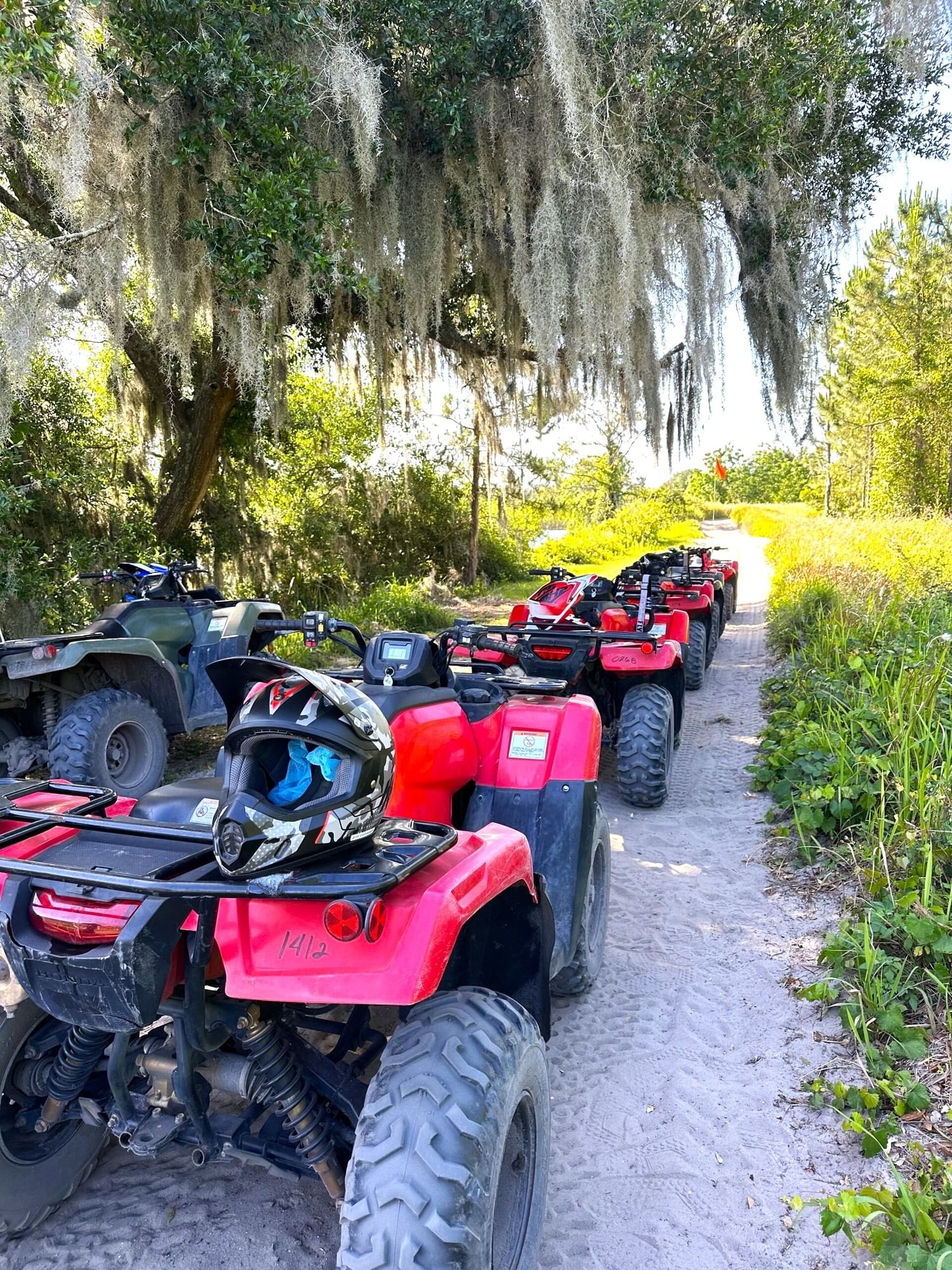 A row of red dirt bike ATVs along a dirt path, beneath hanging branches of mossy trees.