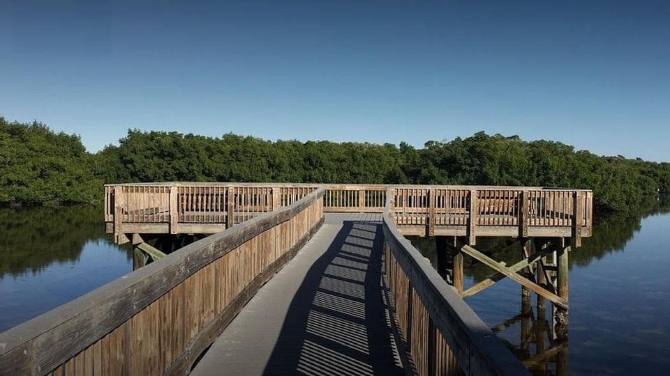 Bridge of Weedon Island Preserve near Legacy Vacation Resorts