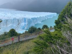 Calafate Glaciar Perito Moreno near Hoteles Australis
