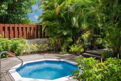 Outdoor blue tiled jacuzzi surrounded by lush green palm trees and tropical plants at Sugar Cane Club Hotel & Spa