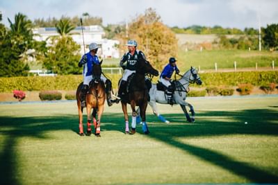 View of riders playing polo at Bougainvillea Resort