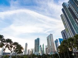 Skyscrapers and palm trees at Panama City