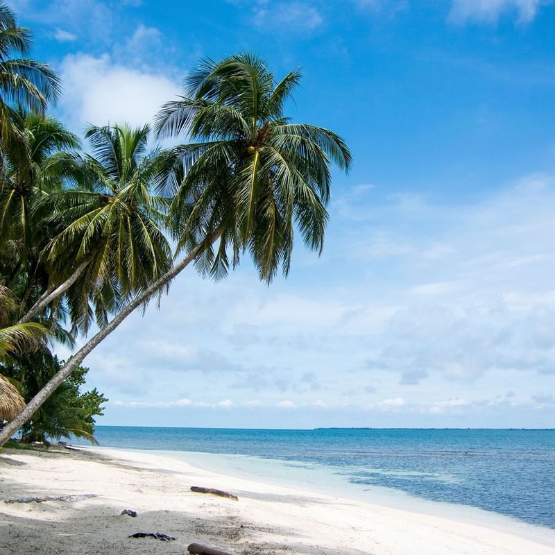 Robinson Crusoe Island - WARWICK CORPORATE