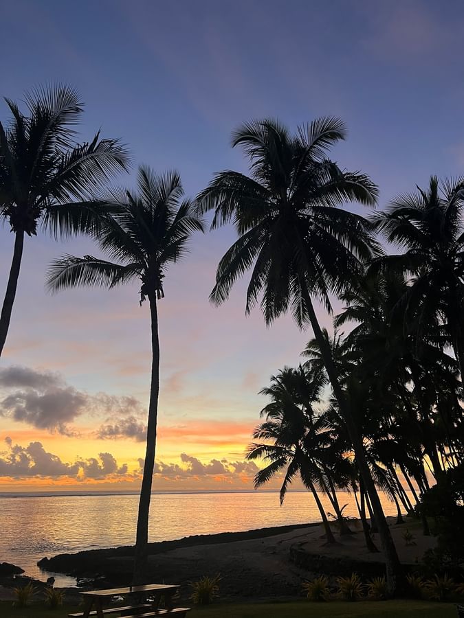 Sunset over beach and ocean with coconut trees silhouettes at Tambua Sands Beach Resort Nadi Fiji نادي