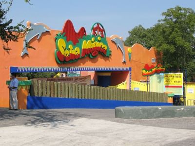 Amazing Magical place near in Hotels Grupo Guadalajara