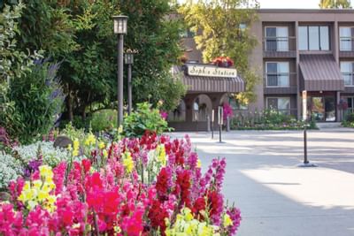 Exterior View of the Sophie Station Suites with the garden