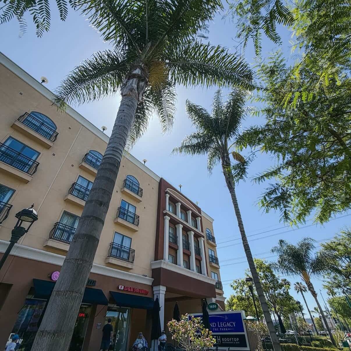 hotel building with palm trees, chairs, and table