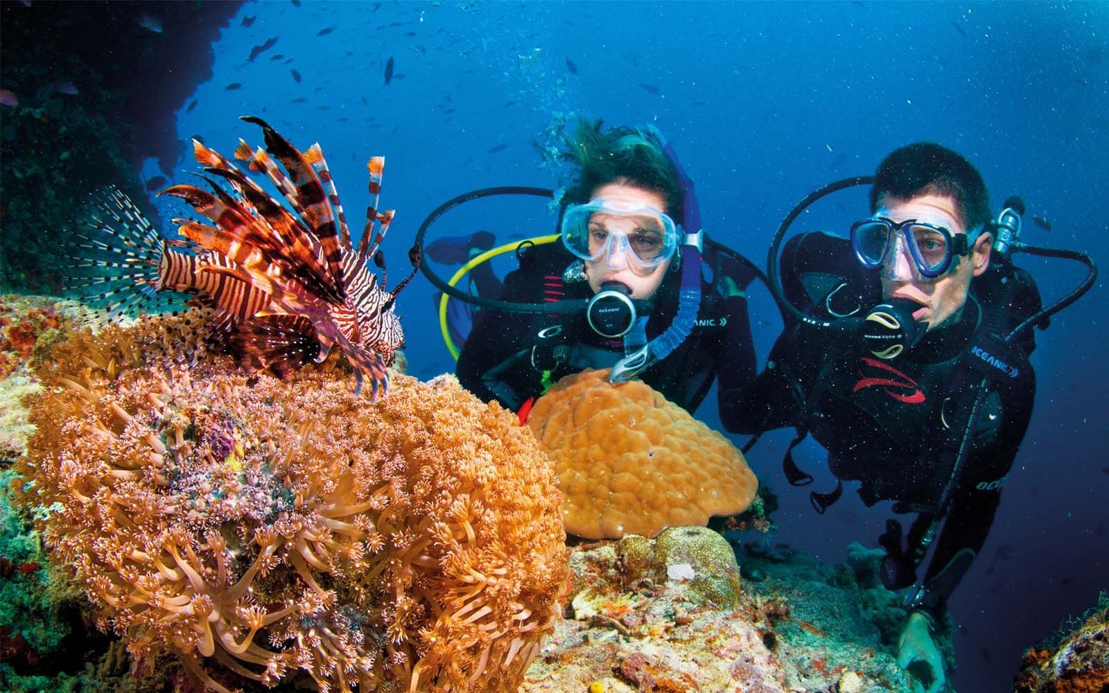 Two scuba divers watching lion fish near Pullman Cairns coast