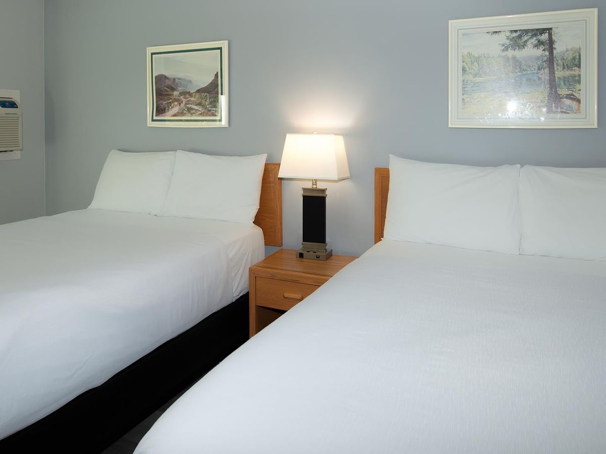 Coast Two Queens Pet Friendly room with two queen beds, framed artwork, and nightstand.