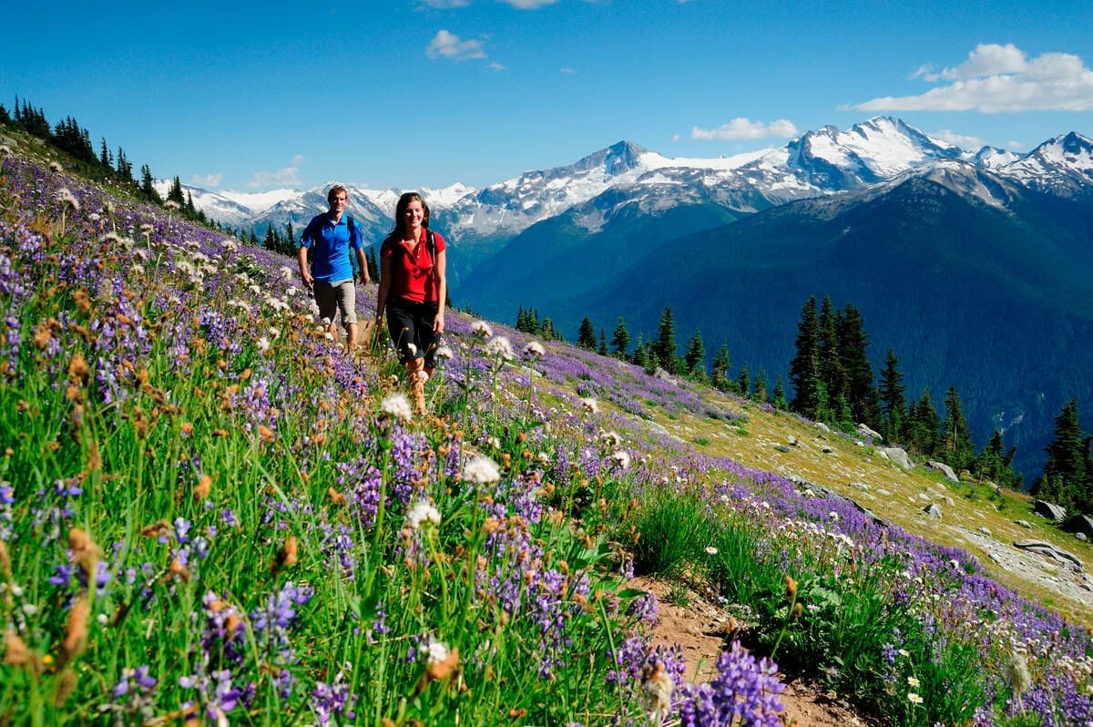 A couple walking through the Whistler & Blackcomb Mountains near Blackcomb Springs Suites