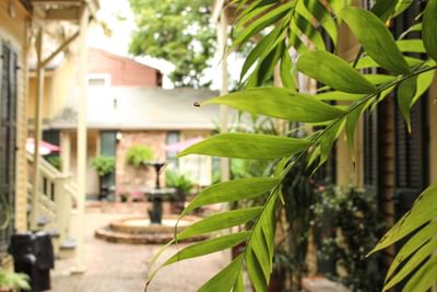 Plants & fountain in the Courtyard at Andrew Jackson Hotel