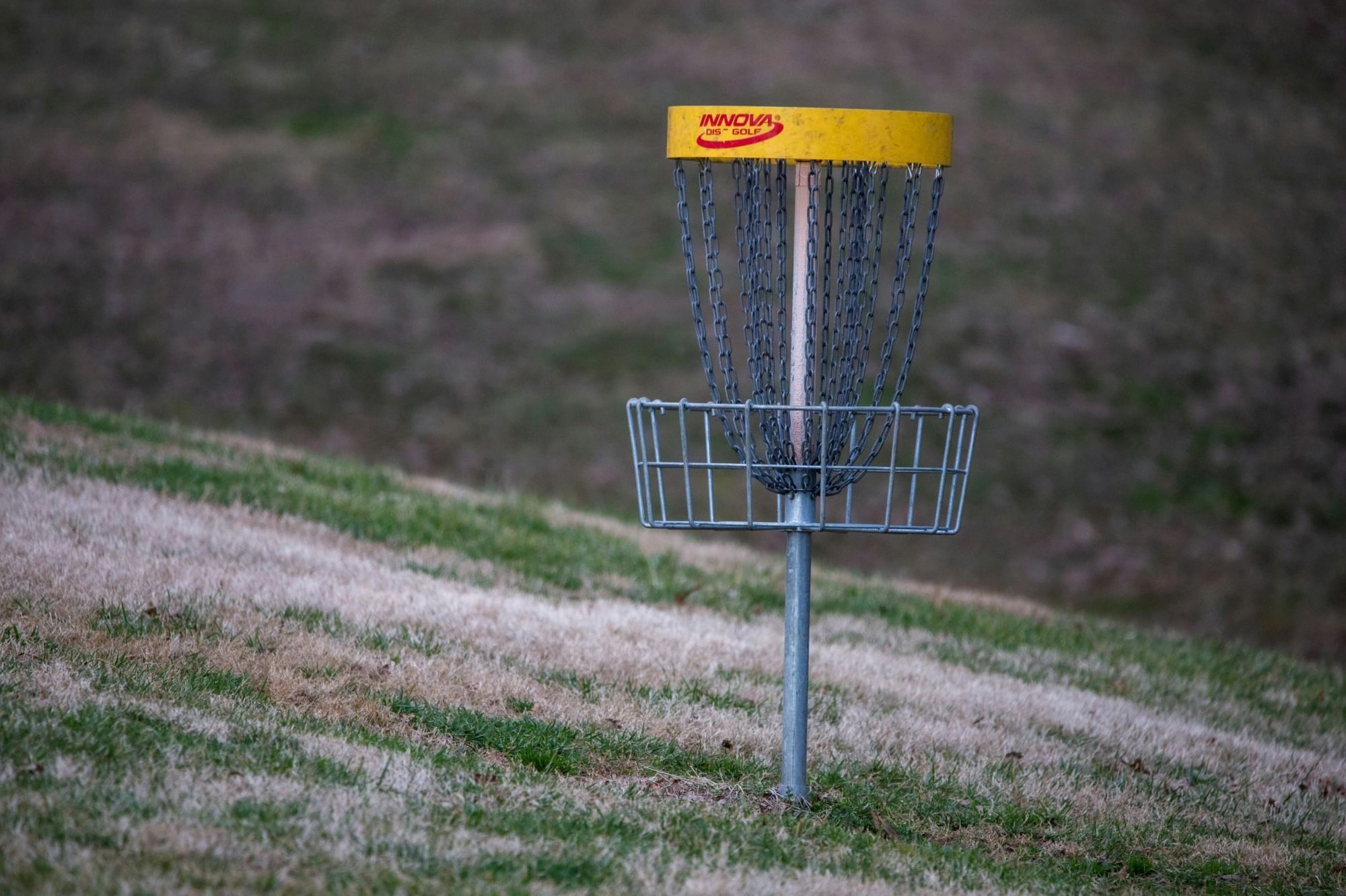 Image of a disc golf goal; perfect for finding the best disc golf locations in Orlando.