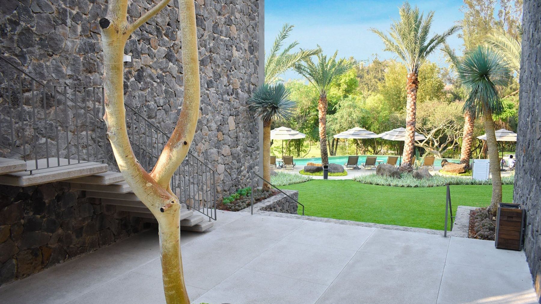 Garden area of Huayacan Cuernavaca Curamoria Collection
