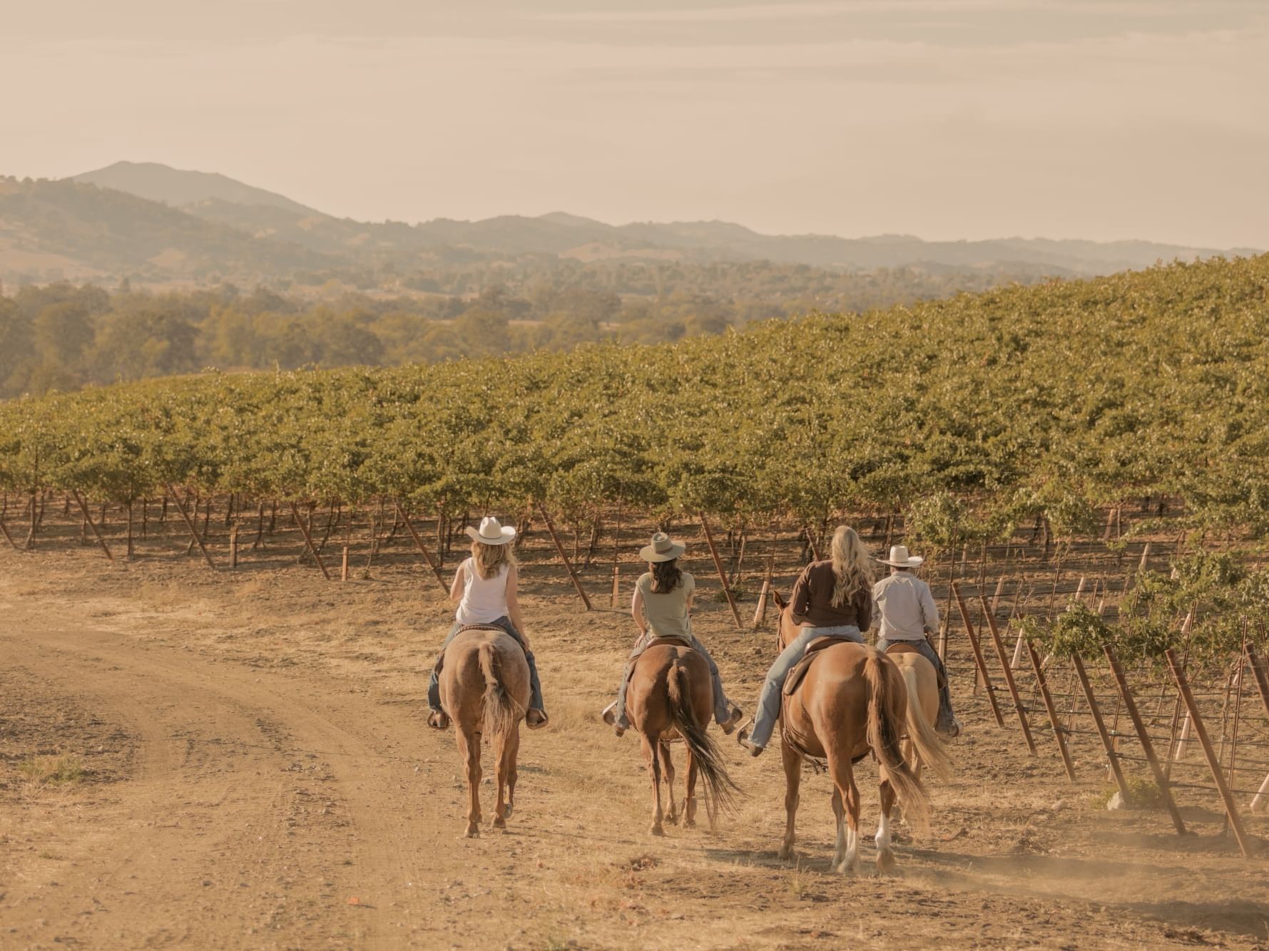 paso robles jeep wine tours