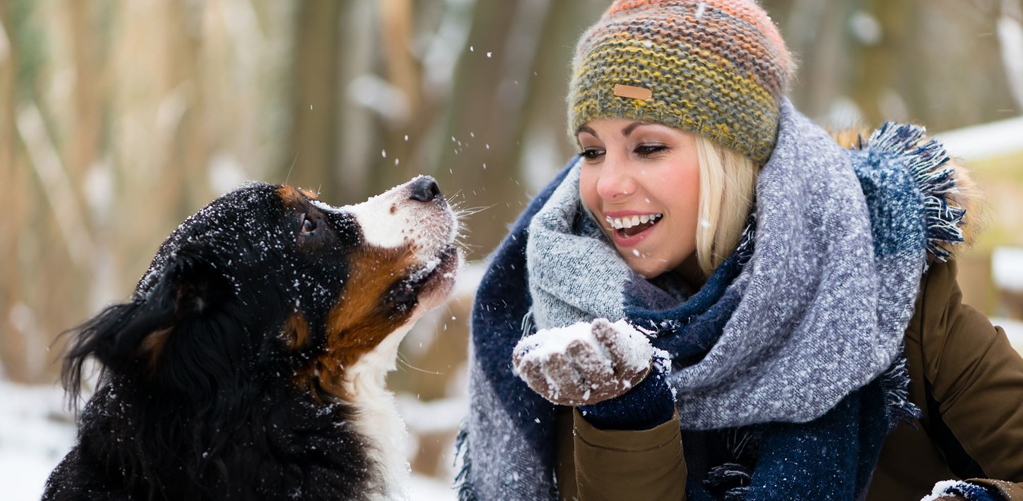 Women holding snow looking at a dog
