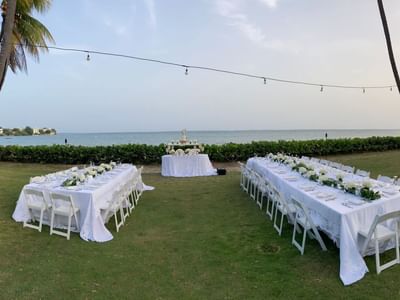 Reception arranged in Copa Palm Tree Oasis at Copamarina