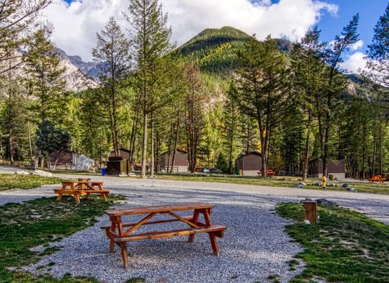 Spruce Grove RV Park and Campground near Fairmont Hot Springs Resort