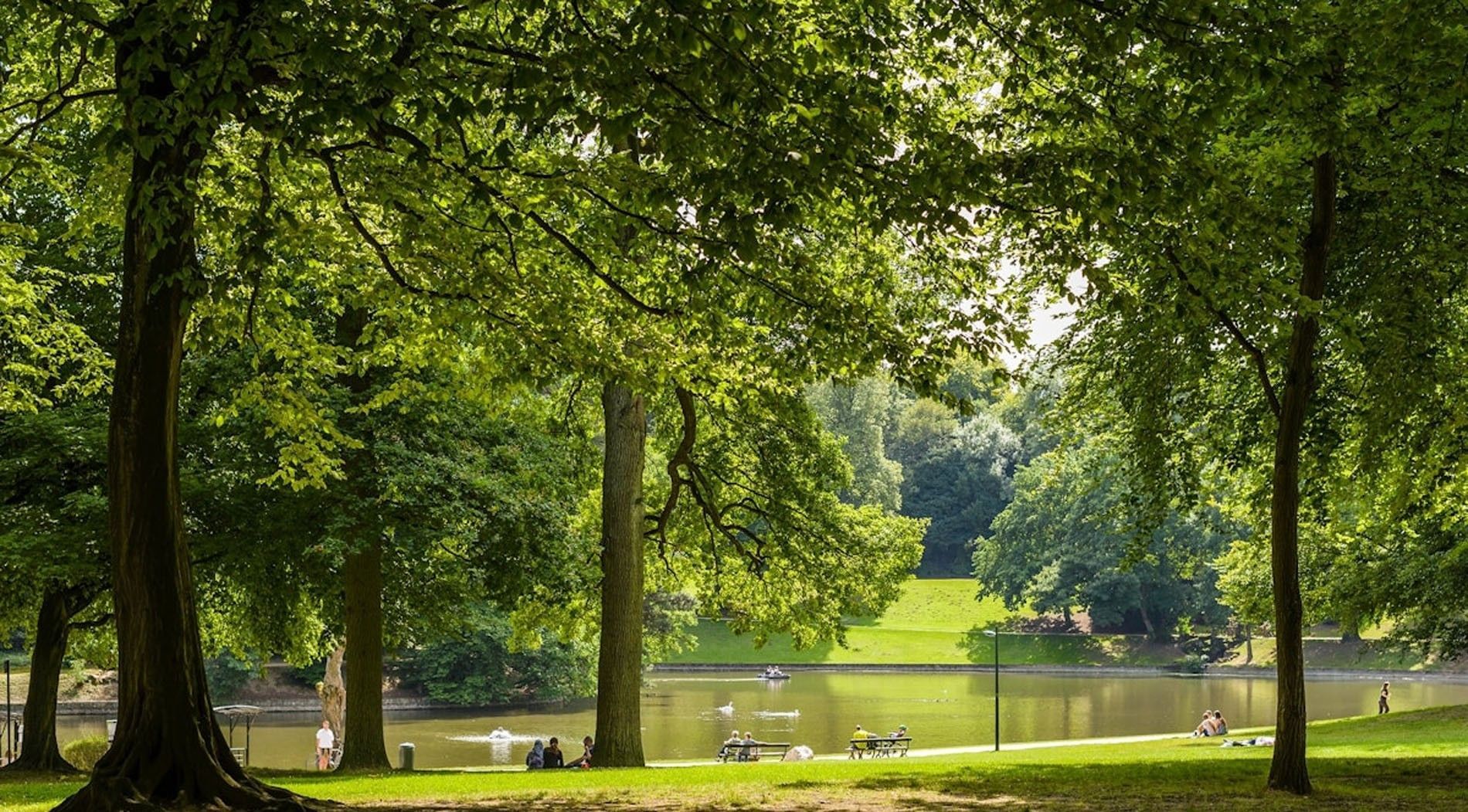 Lush green trees and a peaceful serene lake in a public park with relax people near Hotel Barsey by Warwick hotel
