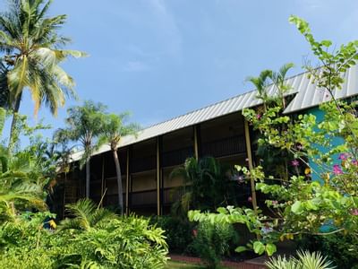 Exterior view of Emerald Beach Resort, coastal stays at a beachfront hotel near Charlotte Amalie and airport St. Thomas