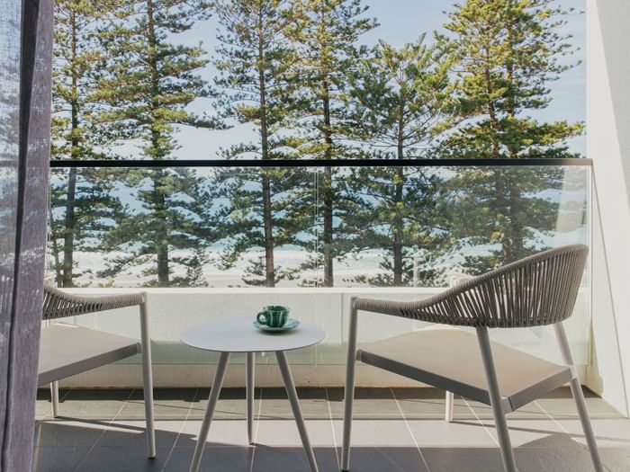 Ocean View King at Elysium Manly with a balcony table and green teacup by woven chairs under pine trees near a glass railing