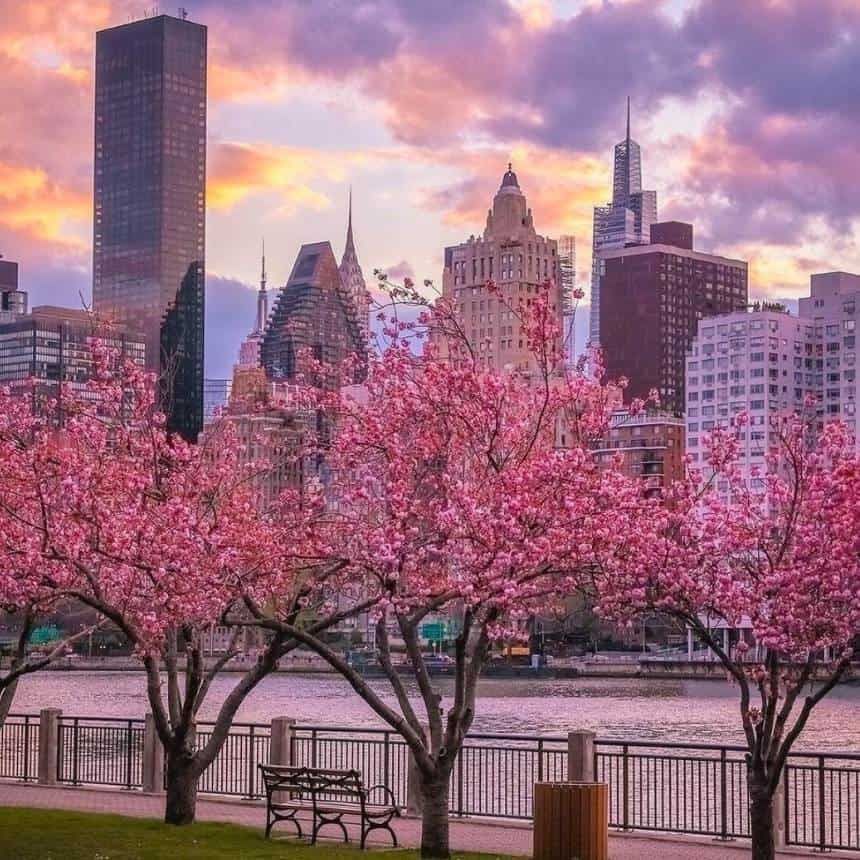 Spring Sunsets in New York 