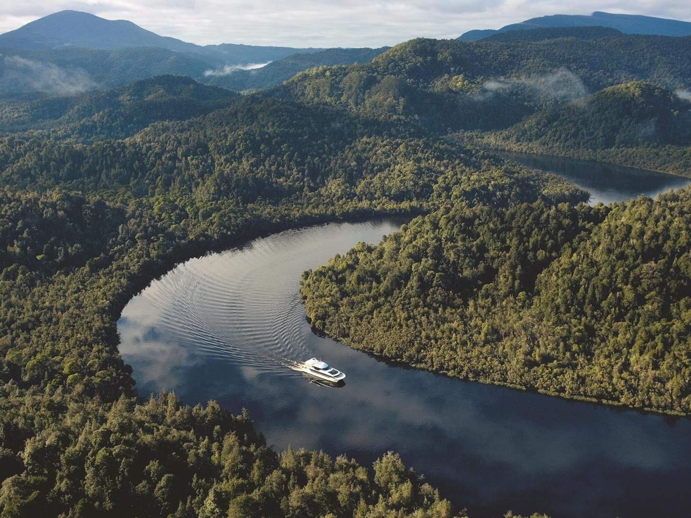 Aerial view of Gordon River & forest near Gordon River Cruise