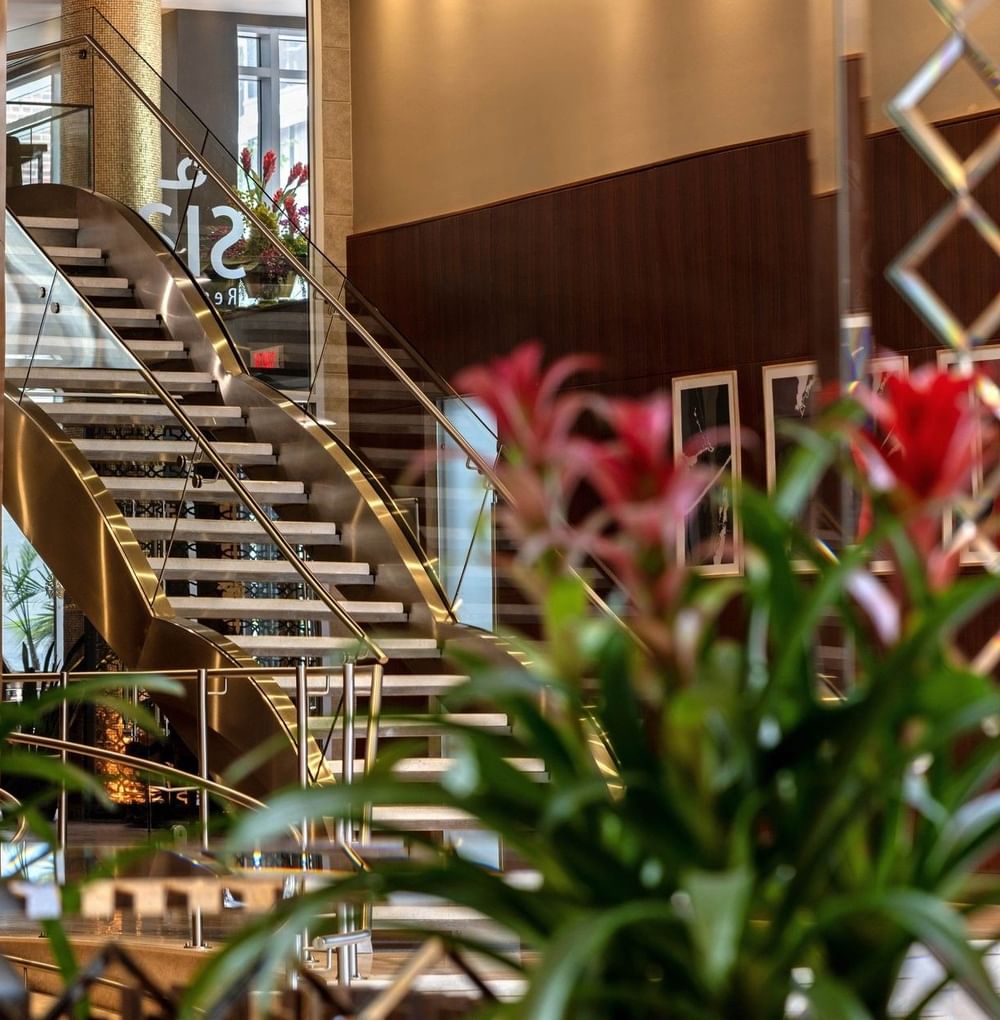 Élégantes plantes rouges devant un escalier en colimaçon en verre et métal au Warwick Le Crystal Montreal