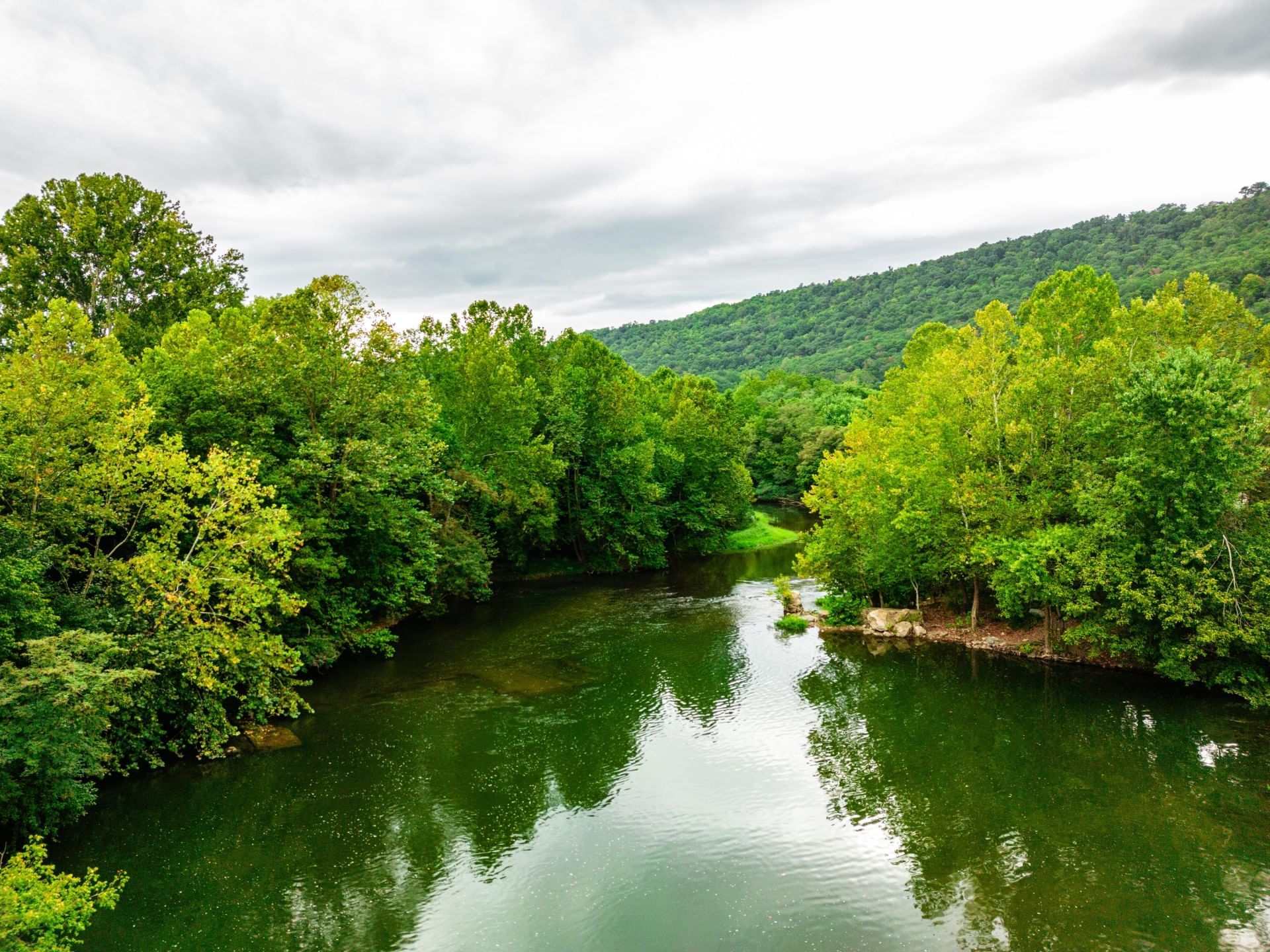 The South Branch Potomac River by  a dense forest near South Branch Inn Romney