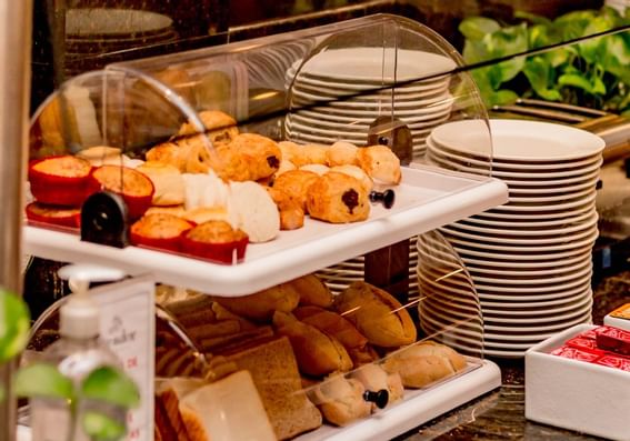Best taste dishes in Guadalajara Plaza Ejecutivo