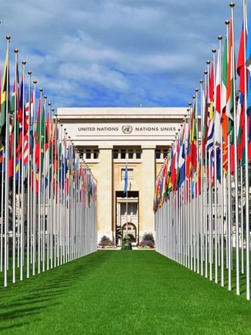 International flags by a green lawn under the Palais des Nations near Warwick Geneva