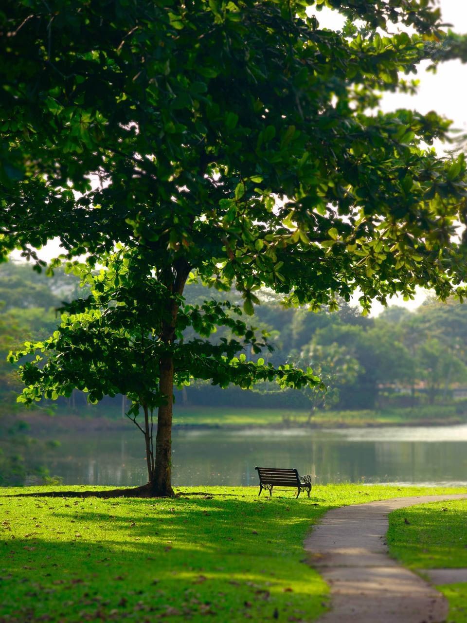 Shaded bench by a calm lake with lush greenery and a winding path at The Saujana Hotel Kuala Lumpur