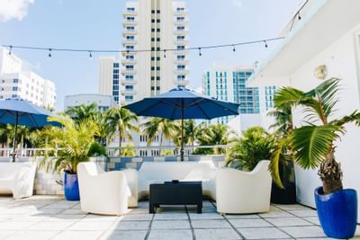 Terrace patio surrounded by indoor plants at Aqua Hotel