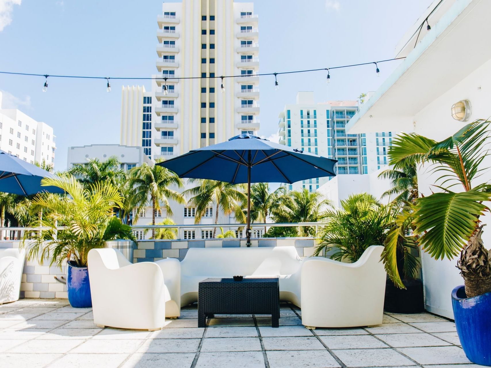 Terrace patio surrounded by indoor plants at Aqua Hotel