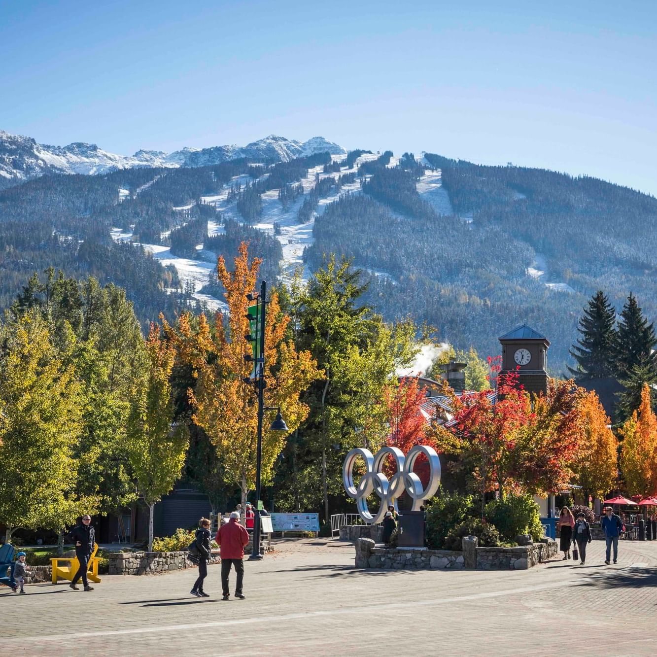 Fall in love with Whistler’s autumn beauty. Explore local tips, cozy escapes, and seasonal highlights from Summit Lodge.