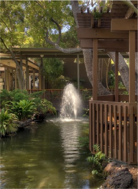 A fountain in the pond at Dinah's Garden Hotel