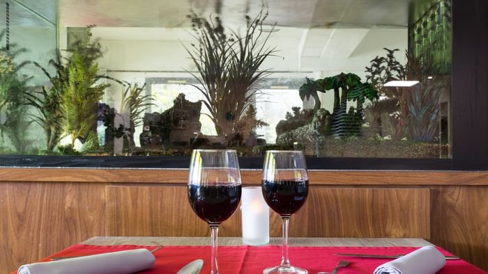 Close up on two wine glasses at Le Clos des Tanneurs