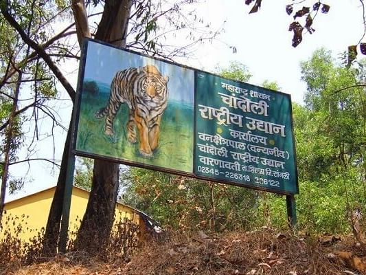 Tiger sign by the entrance way of Chandoli National Park near Eastin Easy Vita