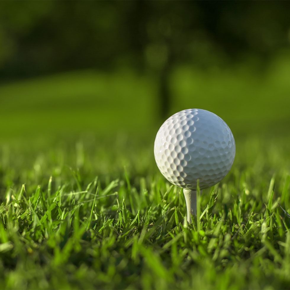 Close-up of golf ball on a tee at Falkensteiner Hotels