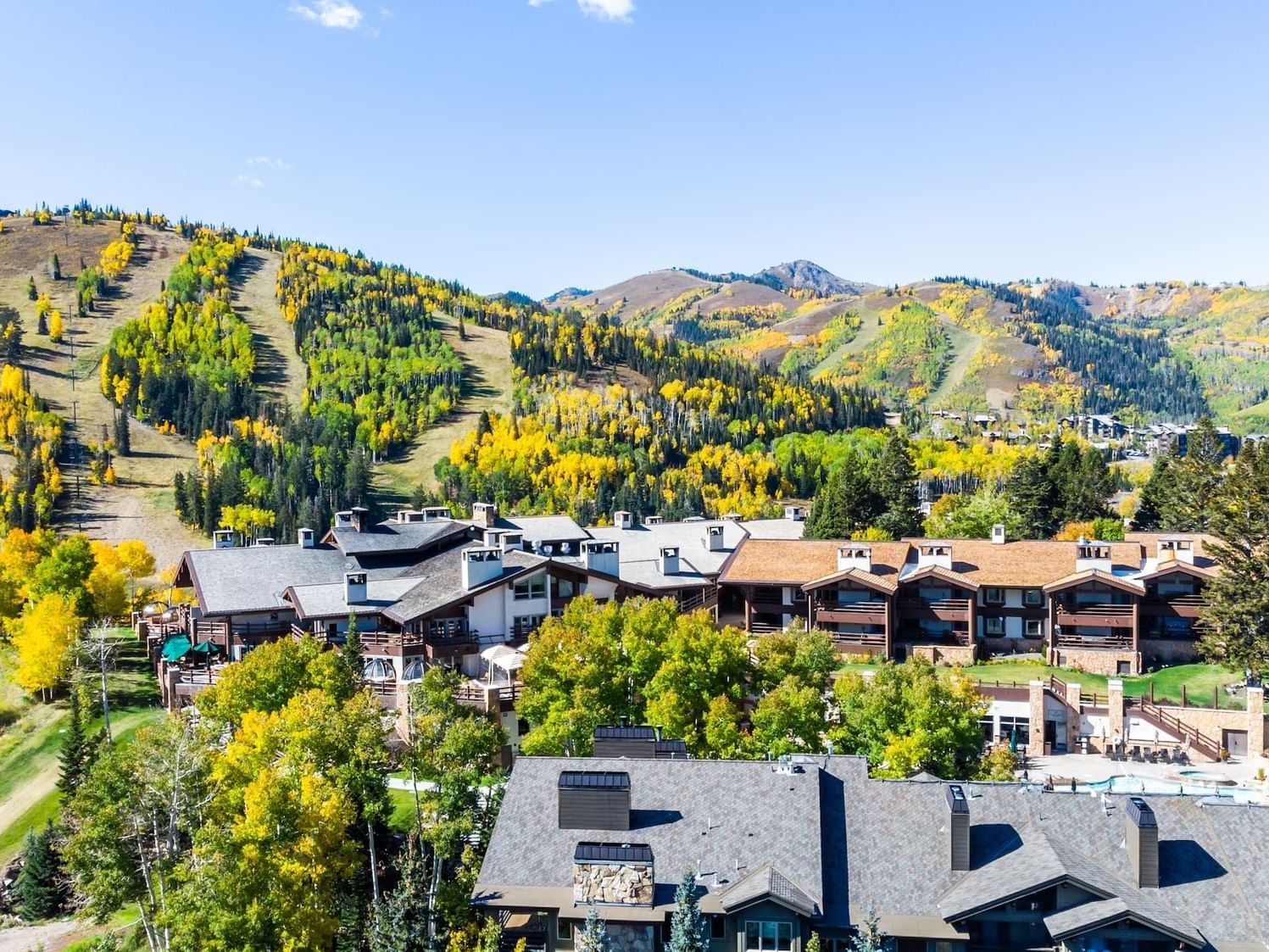 25% Off in Park City