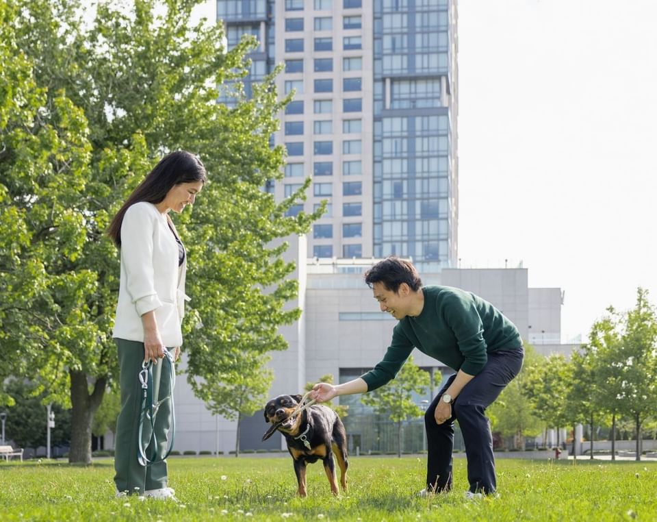 Couple playing with a dog on a green lawn by leafy trees under bright daylight in the garden grounds at Hotel X Toronto