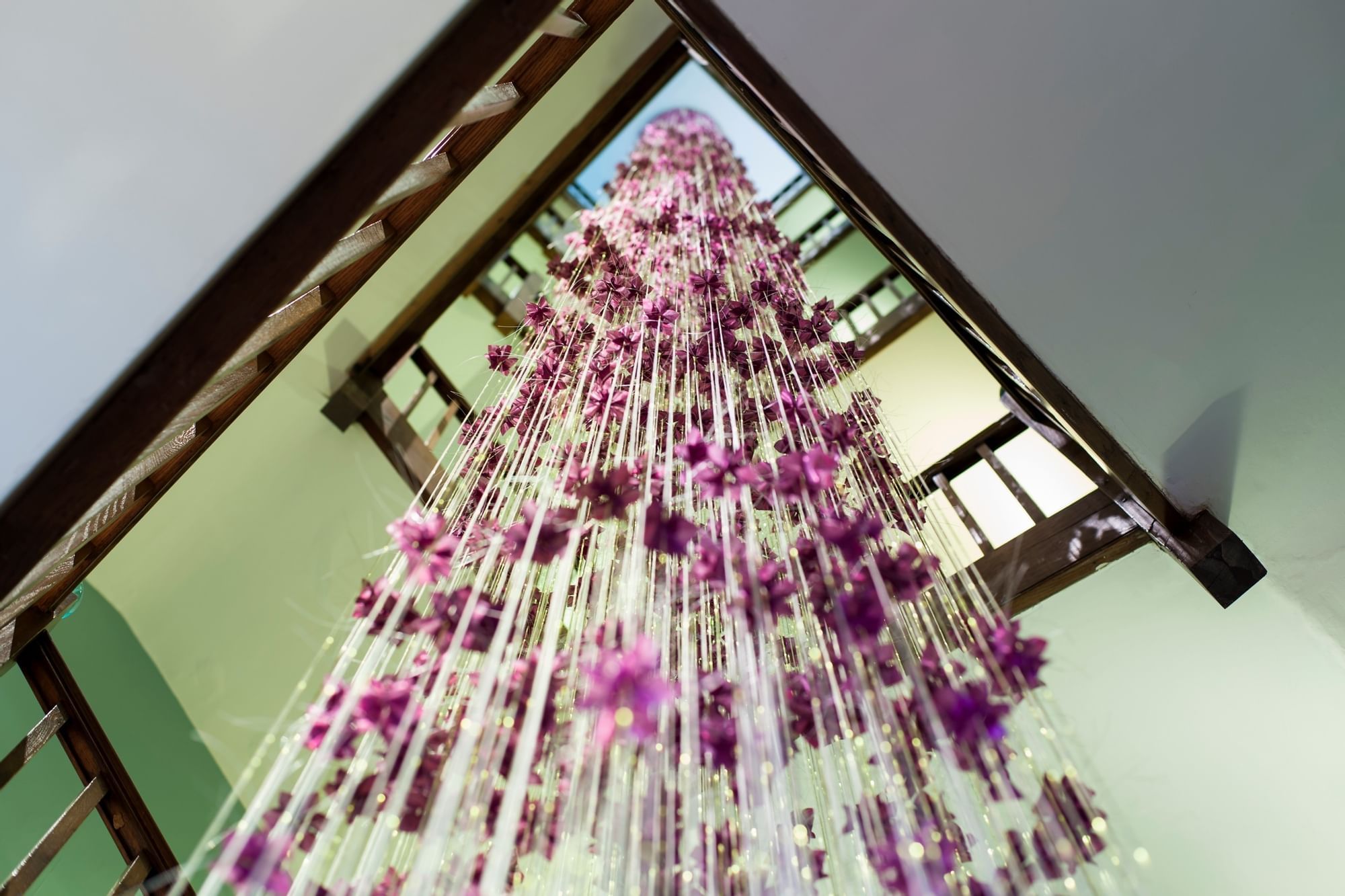 Purple flower vines hanged at Capital Hotel